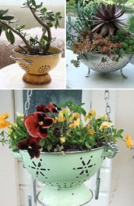 24-Creative-Garden-Container-Ideas-Use-a-colander-as-a-planter-7
