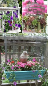 24-Creative-Garden-Container-Ideas-Use-bird-cages-as-planters-12