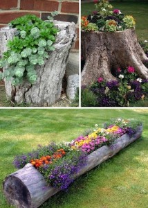 24-Creative-Garden-Container-Ideas-Use-tree-stumps-and-logs-as-planters-8