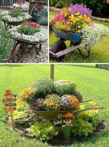 24-Creative-Garden-Container-Ideas-Use-wheel-barrows-as-planters-10